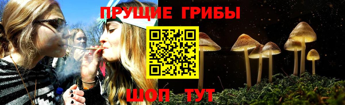 Псилоцибиновые грибы GOLDEN TEACHER Екатеринбург